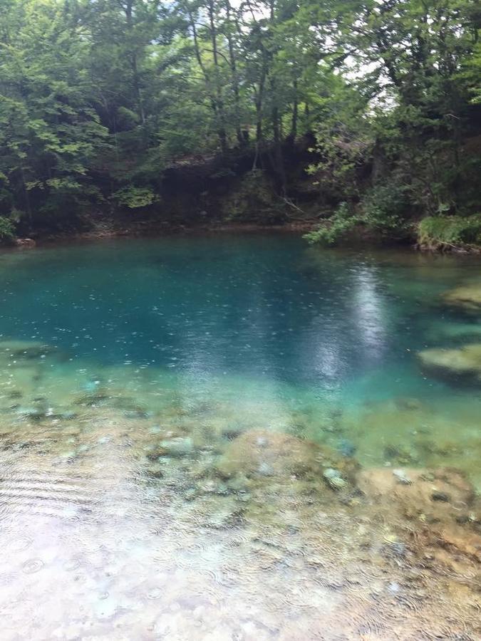 Apartmani Alo Alo Plav Exterior foto