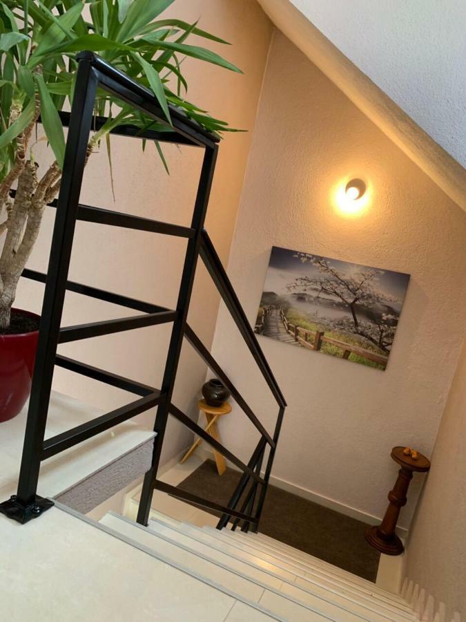 Apartmani Alo Alo Plav Exterior foto