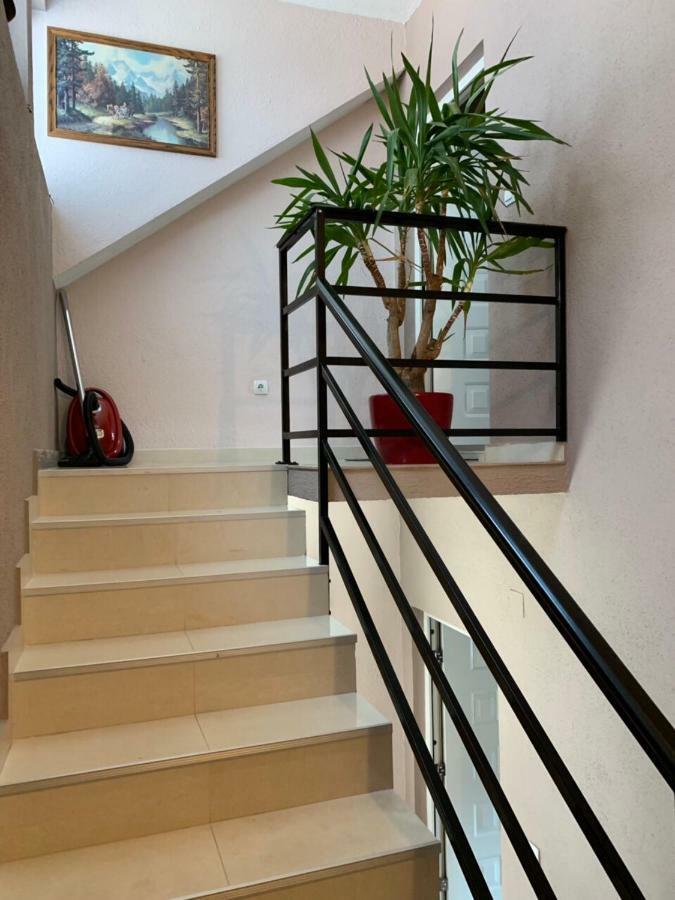 Apartmani Alo Alo Plav Exterior foto
