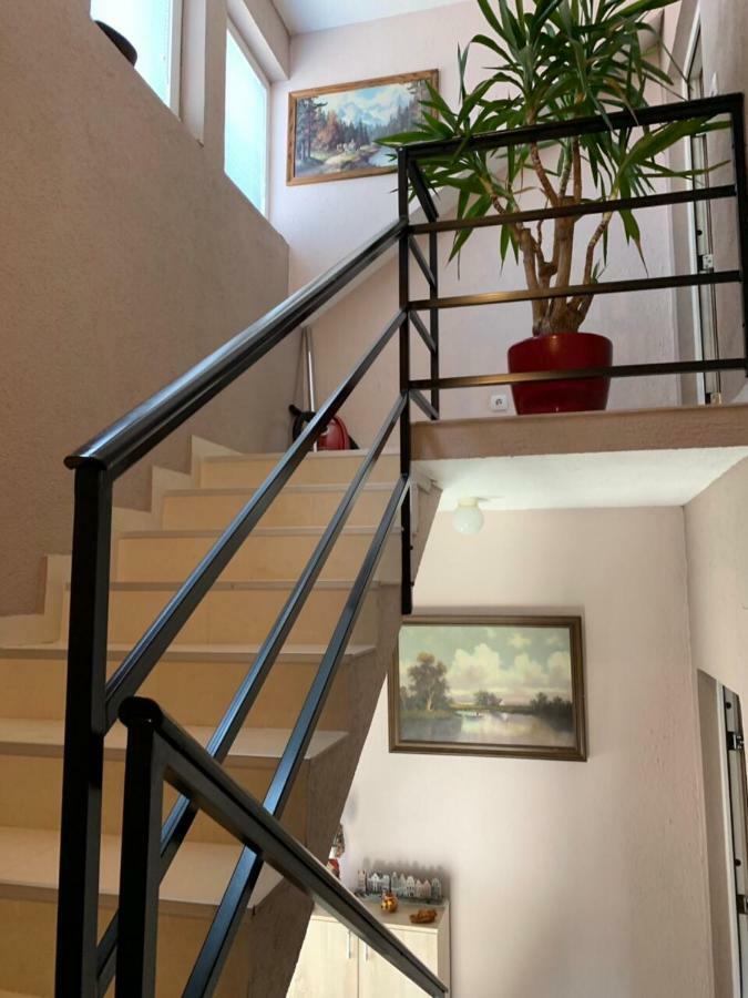 Apartmani Alo Alo Plav Exterior foto